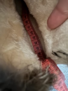 IMG_3685.jpeg